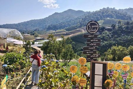 Flower Gardens and Dantewada Waterfall Park full-day private excursion