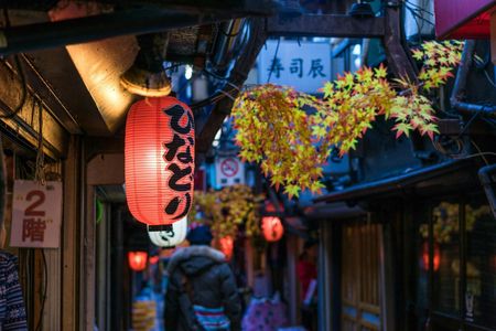 Tokyo private and customisable guided food tour