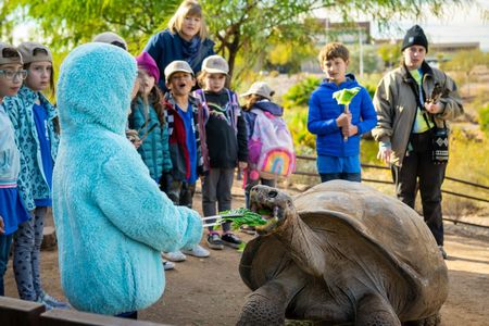 Phoenix Zoo One Day General Admission Ticket