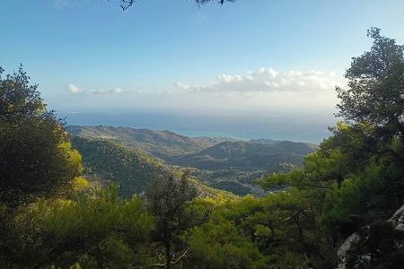 Viannos, Simi forest and ancient sanctuary tour with a local guide