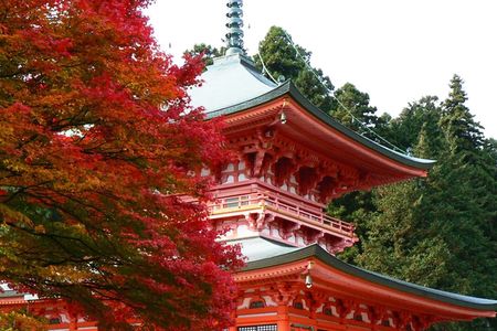 Enryaku-ji, Ōmihachiman and Kyorinbō guided day trip