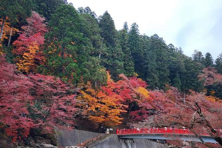 Eihōji and Kōrankei guided day tour