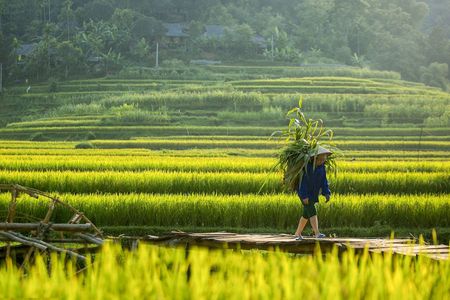 Full day excursion to Pu Luong with pick-up from Hanoi