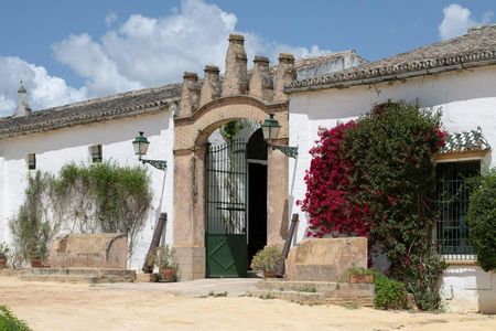 Seville Bodegas Góngora sensory tour with tasting experience