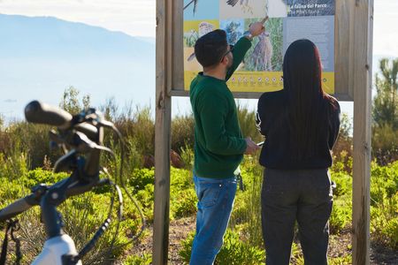 E-bike on Vesuvius among volcanic landscapes