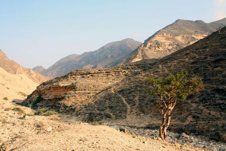 Full-day Salalah explorer, east and west highlights