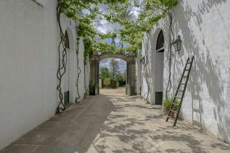 Seville Bodegas Góngora premium tour with tasting experience