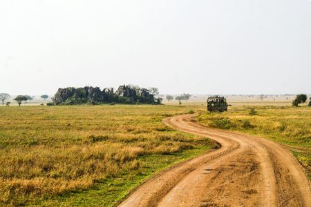 Nyerere National Park two-day safari with two game drives