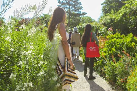 Excursion to Giverny Monet's Gardens and Versailles Palace with audio guide and lunch