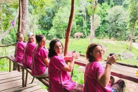 Half day tour to admire elephants and enjoy Thai nature