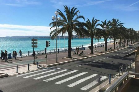 Guided tour of Nice's historical and cultural highlights