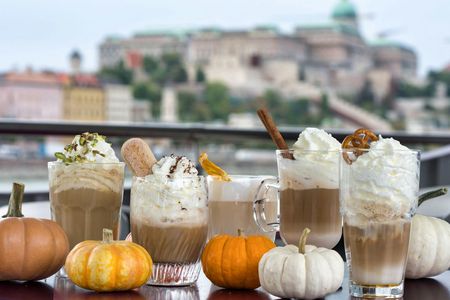 Budapest sightseeing tour with drink