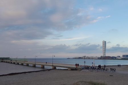 Three-hour guided walking tour of Malmö