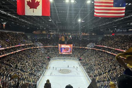 Vegas Golden Knights NHL game ticket at T-Mobile Arena