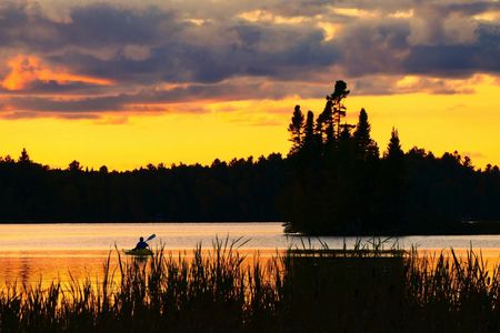 Mangrove 1-Hour Private Kayaking in Al Thakira Reserve