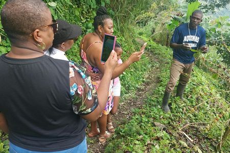 Jamaica's Blue Mountains tour with coffee estate visit