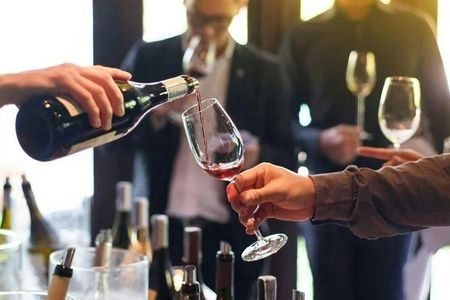 Wine tasting and vineyard guided tour from Nice