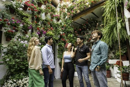 Córdoba guided tour from Madrid by high-speed train
