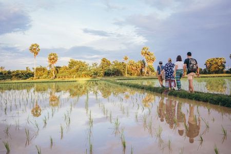 Bali's hidden rice terraces trek experience