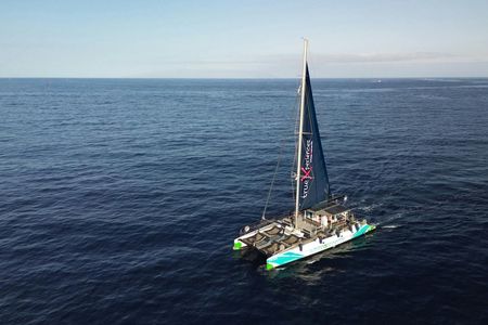 3-hour whale and dolphin observation on an eco-catamaran