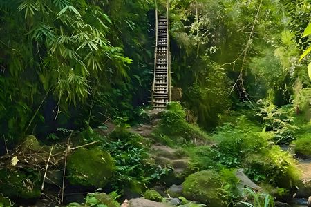 Full-day tour of rice fields, waterfalls and monkeys in Tetebatu