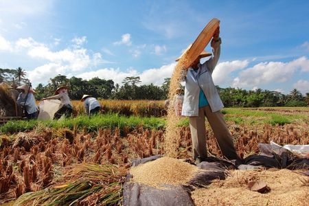 Customized private guided tour