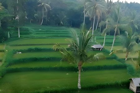 Tetebatu full-day eco tour