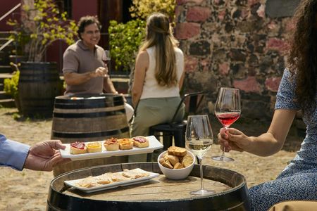 Wine Museum tickets and tasting of 5 wines and 7 specialities