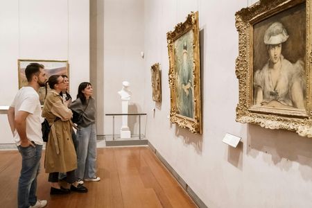 Museum of Fine Arts ticket and Lyon city audio-guided tour