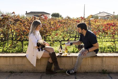 Half-day winery tour with wine tasting and tapas