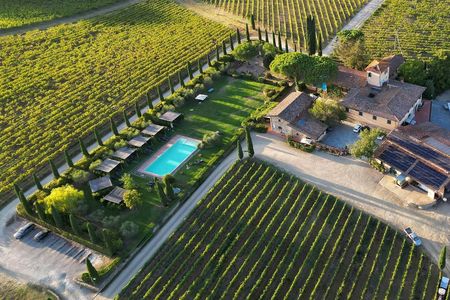 Guided tour and wine tasting in Chianti Classico