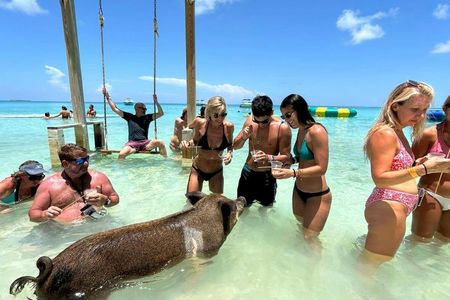 Green Turtle Cay, Pigs Island and Rose Island Tour