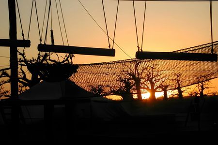 Accrobaobab adventure from Somone