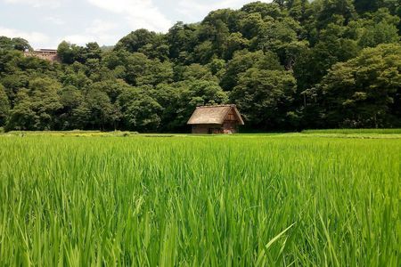 Shirakawago and Kanazawa guided day tour from Kyoto