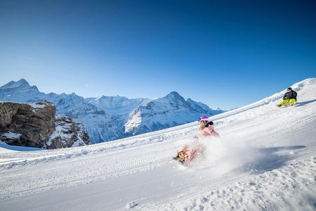 Winter sledging adventure private tour from Zurich