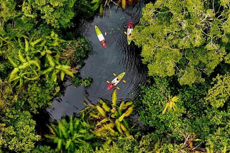 Klong Root kayak, batik class, rubber tapping and pineapple farm tour