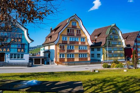 Private guided tour of Heidi country and Liechtenstein from Zürich
