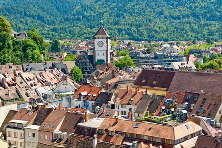 Private guided tour of Black Forest and Alsace from Zürich