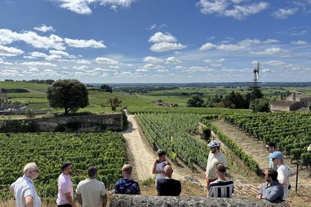 Saint-Émilion vineyards and medieval heritage small-group e-bike tour