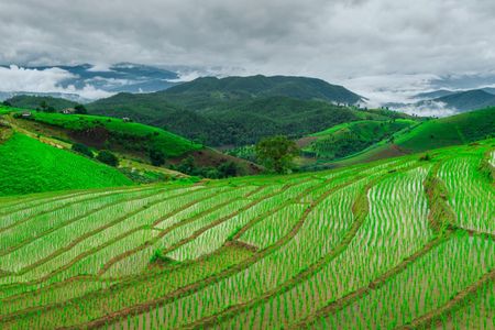 Full-day van charter with driver in Northern Thailand