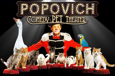 Tickets to Popovich Comedy Pet Theater