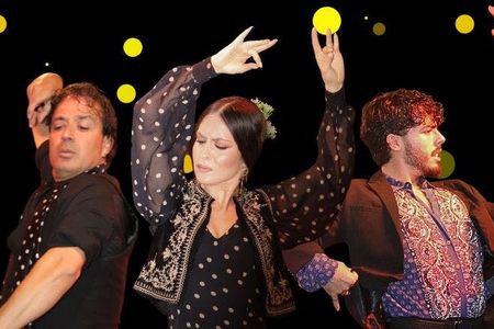 Tablao La Cantaora flamenco show with optional dinner