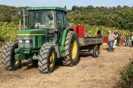 Umbrian wine tasting at Tenuta di Corbara