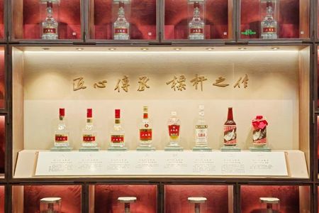 Chengdu to Yibin private tour with Wuliangye Liquor Museum visit
