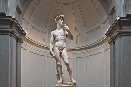Audioguided tour at the Accademia Gallery with live expert commentary