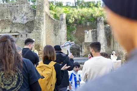Herculaneum shared tour from Naples