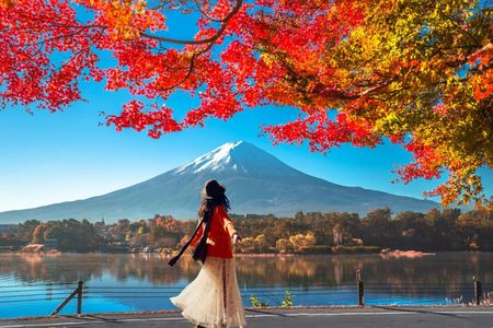 Day Trip to Mount Fuji with Scenic Photo Opportunities from Tokyo