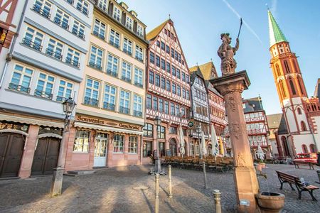 Private historical tour through Frankfurt with a local
