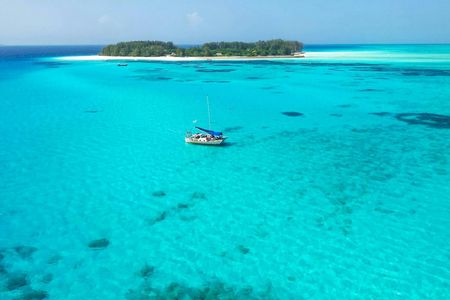 Zanzibar catamaran and snorkelling tour to Mnemba Marine Park
