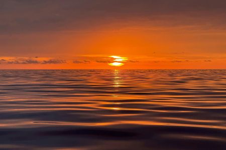 Gran Canaria dolphin watching sunset experience